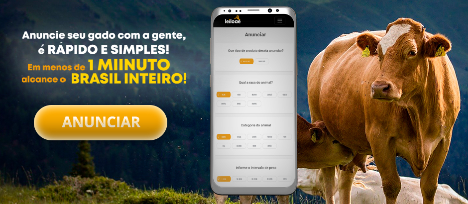 Anuncie com a Leiloaê